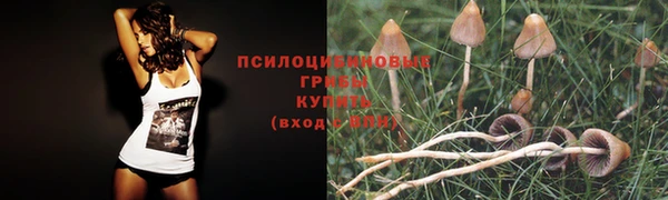спайс Бронницы