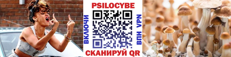 Псилоцибиновые грибы прущие грибы  Купить где  Мещовск 